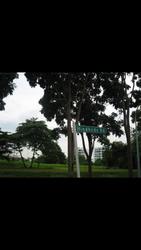 The Raintree (D21), Condominium #112199942